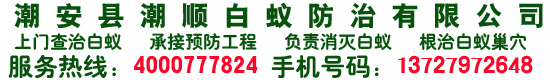 潮州白蟻防治,潮州白蟻滅治,潮州裝修防白蟻,潮州殺蟲(chóng)滅鼠,潮州滅蟑螂臭蟲(chóng),潮州除四害-廣東省潮州市潮安縣潮順白蟻害防治有限公司